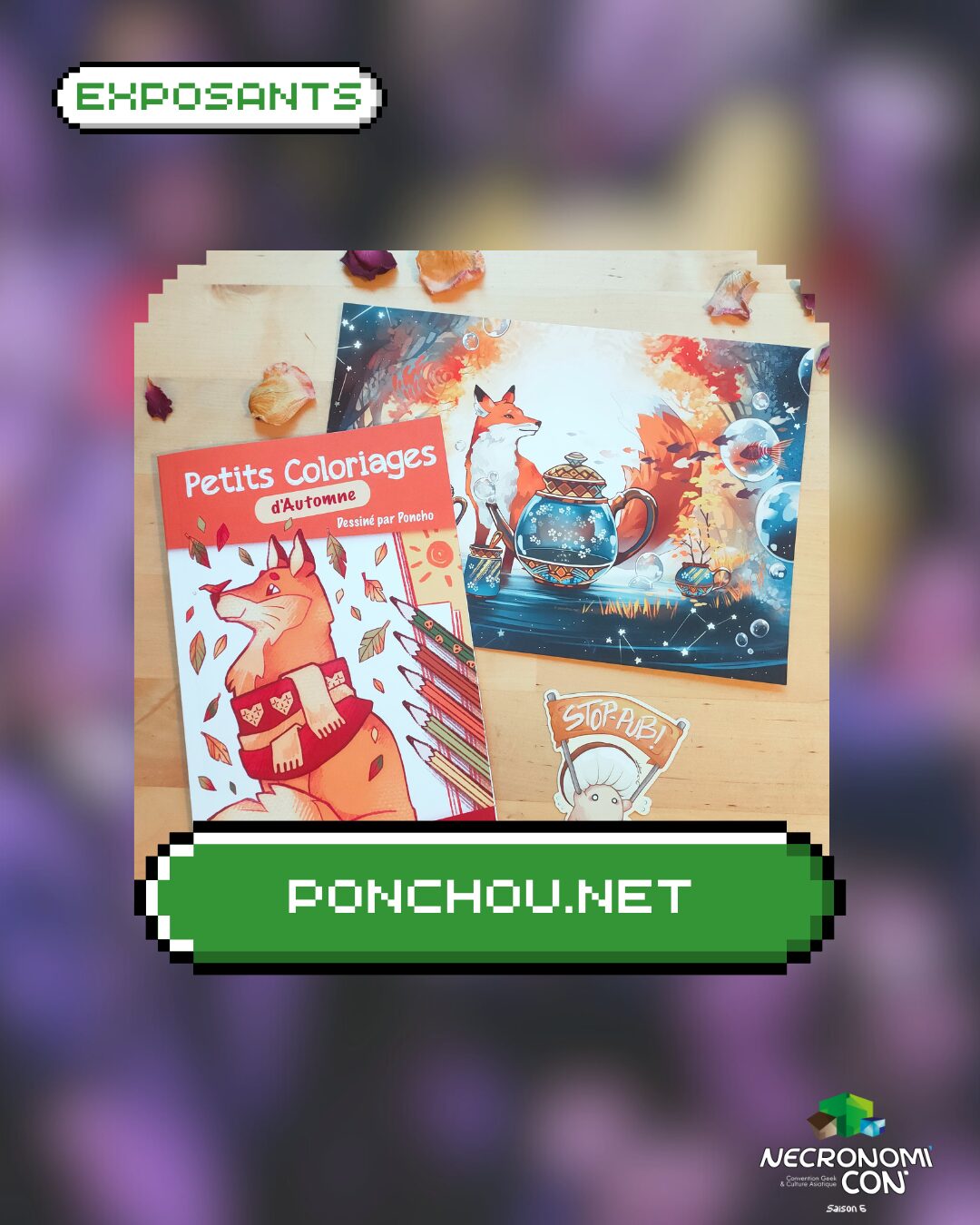 fiche exposant ponchou.net